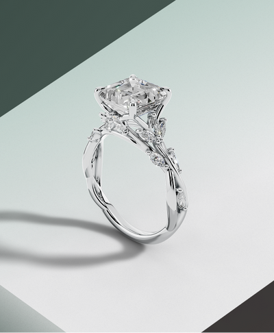 20th Anniversary Collection