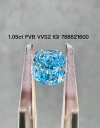 For Erika, remaining balance for 1ct Blue Cushion Diamond Earring Stud
