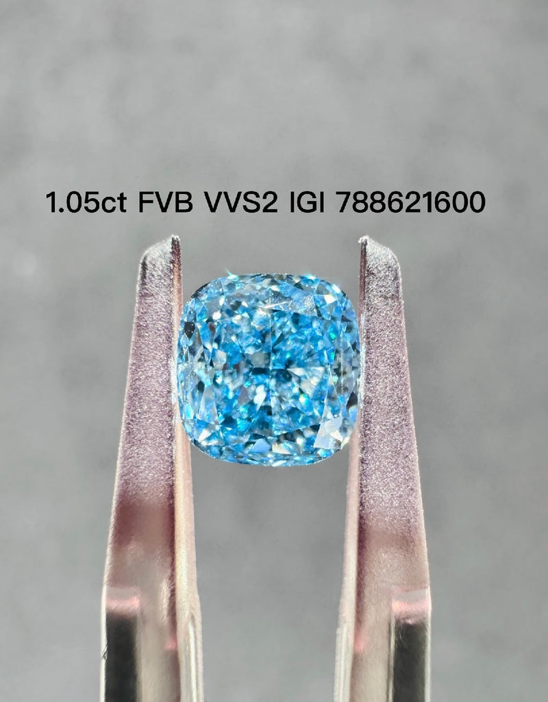 For Erika, remaining balance for 1ct Blue Cushion Diamond Earring Stud