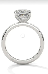 Remaining Balance For chronicallyeilleen1224,14k white gold 2ct princess cut E/VVS2 Customize