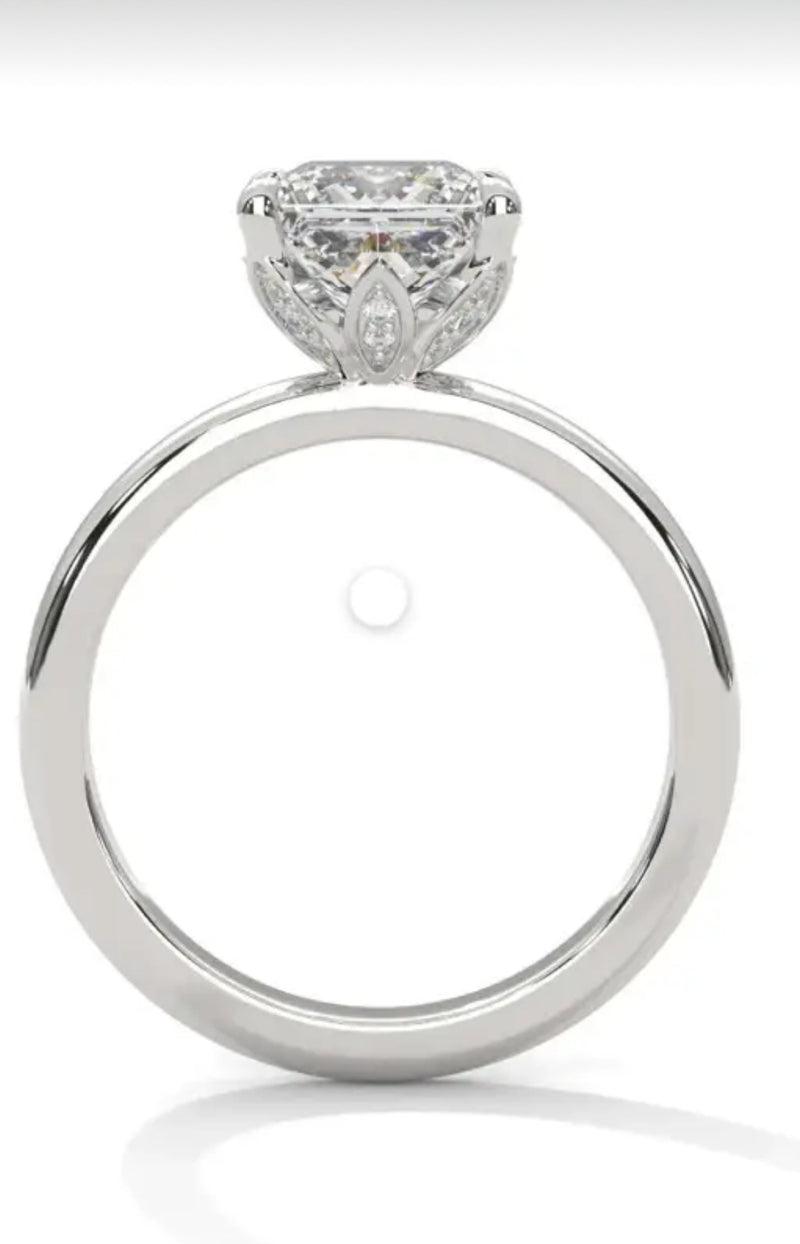 Remaining Balance For chronicallyeilleen1224,14k white gold 2ct princess cut E/VVS2 Customize
