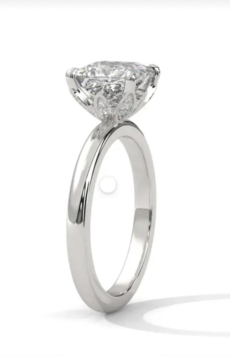 Remaining Balance For chronicallyeilleen1224,14k white gold 2ct princess cut E/VVS2 Customize