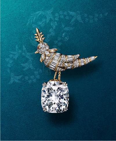 Jane Goodall Collection